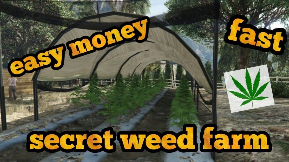 How And Where To Buy A Weed Farm In GTA Online
